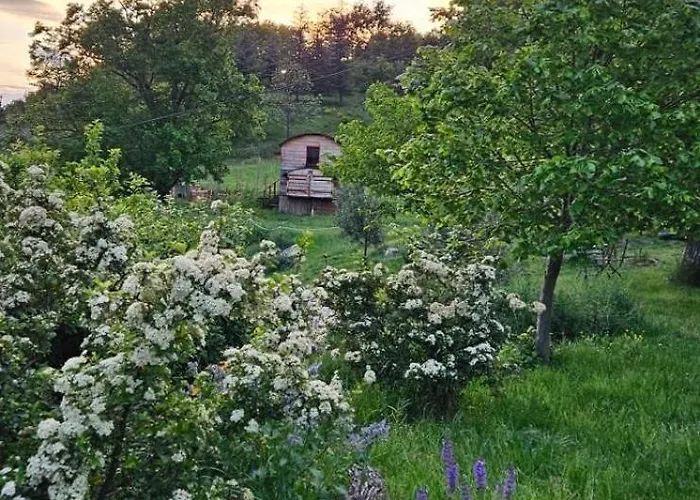 La Roulotte De La Croix Campsite